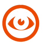 Our Vision